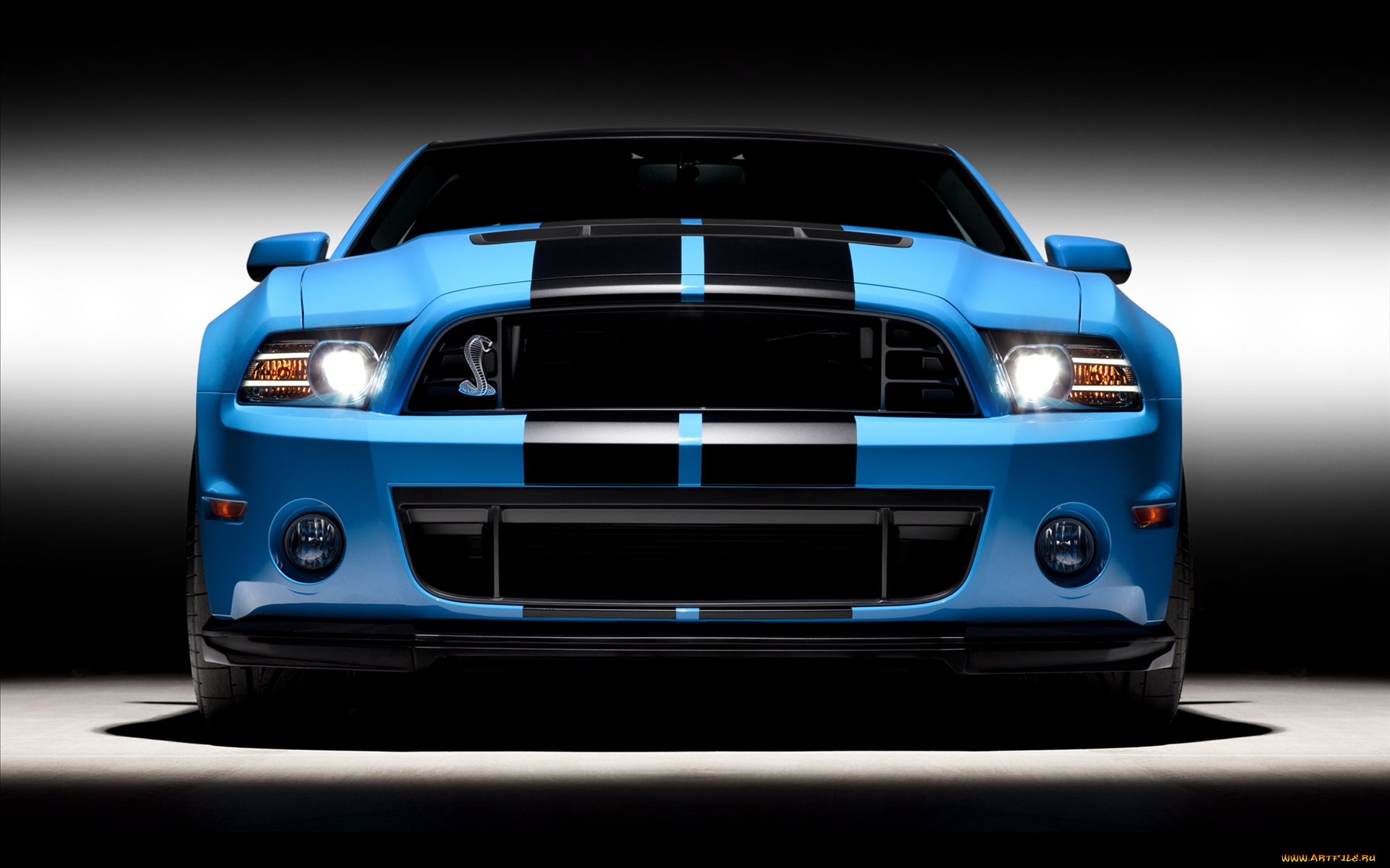 ford, shelby, gt500, 2013, , mustang